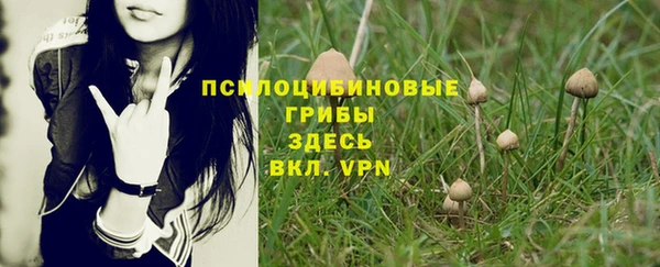 амф Верея