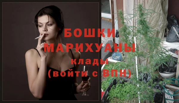 амф Верея