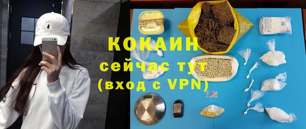 амф Верея